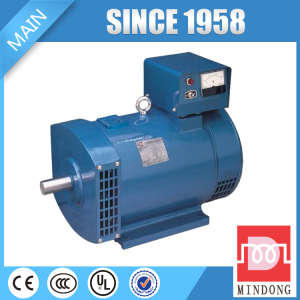 Small Single Phase Synchronous Motor Generator