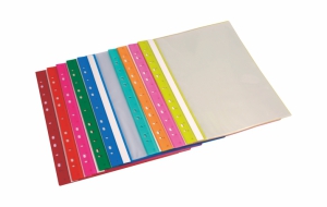 11 Holes Display Book (Clear Book)