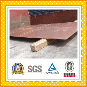 Copper Plate / Copper Sheet